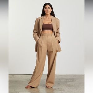 Everlane Women's The Way-High Drape Pants Ash Brown Size 8S (8 Short) 30/30